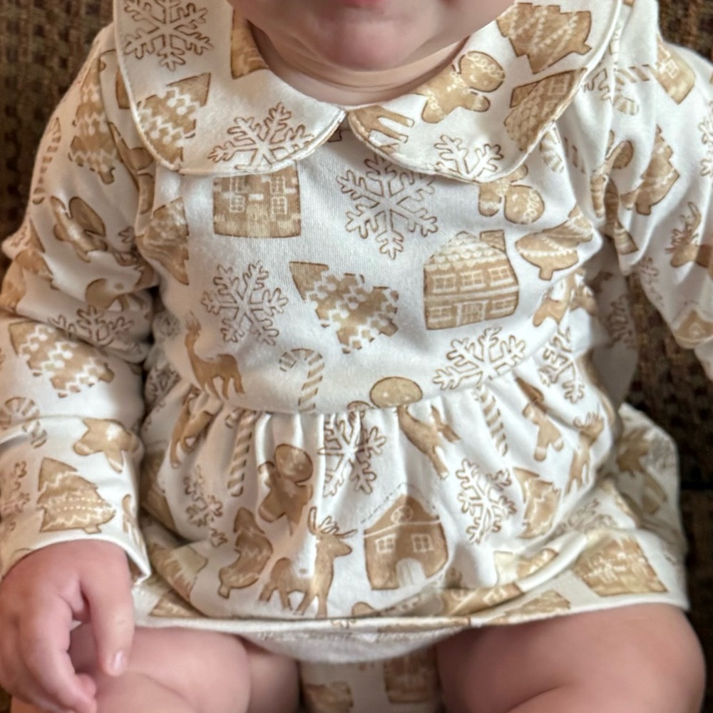 Magnetic Me gingerbread dress, bloomer, and matching bow